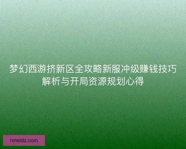 梦幻西游挤新区全攻略新服冲级赚钱技巧解析与开局资源规划心得