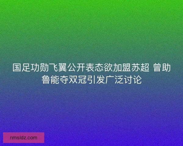 国足功勋飞翼公开表态欲加盟苏超 曾助鲁能夺双冠引发广泛讨论