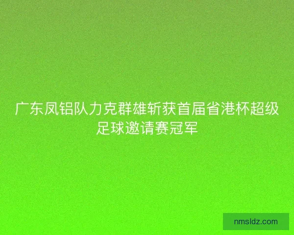 广东凤铝队力克群雄斩获首届省港杯超级足球邀请赛冠军