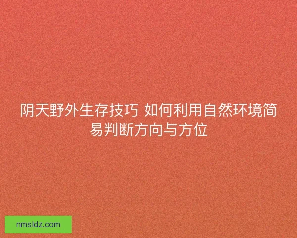 阴天野外生存技巧 如何利用自然环境简易判断方向与方位